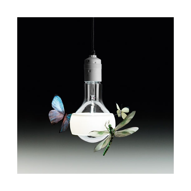 DESIGNDELICATESSEN - Ingo Maurer - Johnny B. Butterfly - Lampe